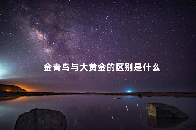 金青鸟与大黄金的区别是什么