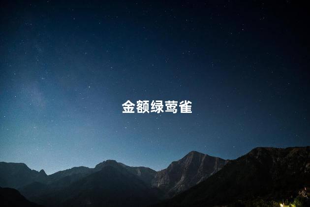 金额绿莺雀