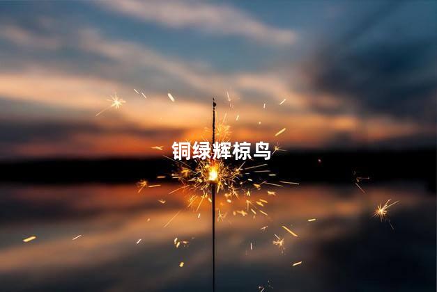铜绿辉椋鸟