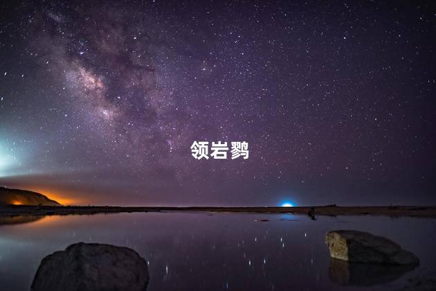领岩鹨
