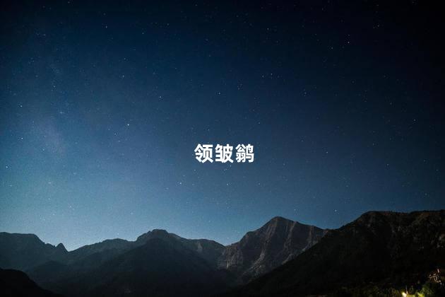 领皱鹟