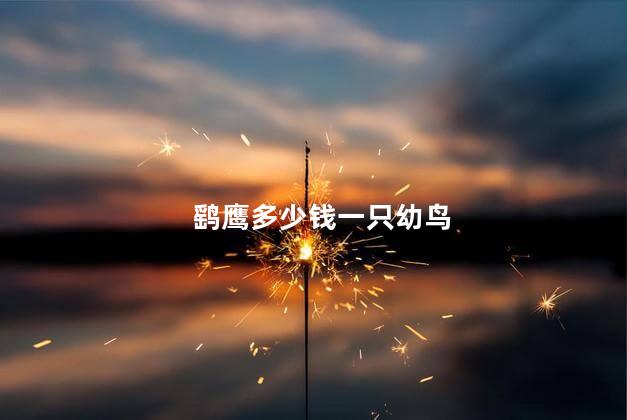 鹞鹰多少钱一只幼鸟