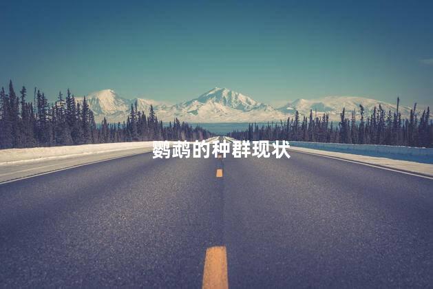 鹦鹉的种群现状