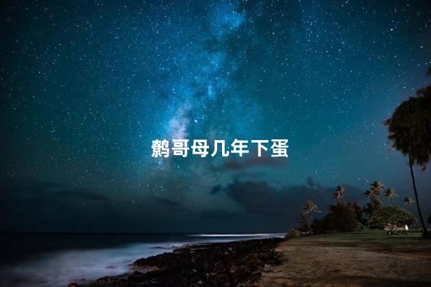 鹩哥母几年下蛋