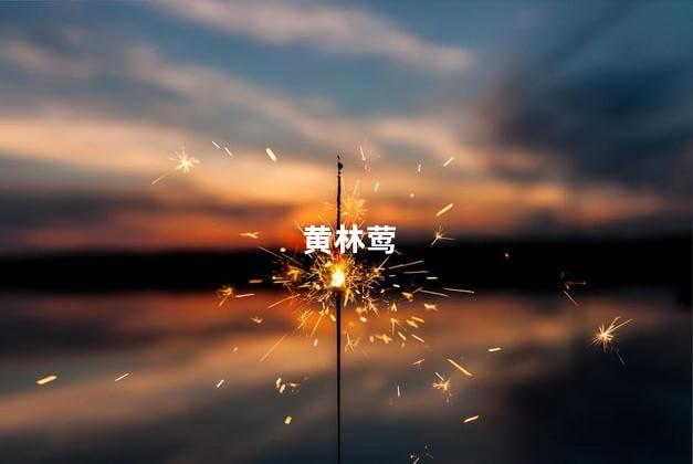 黄林莺