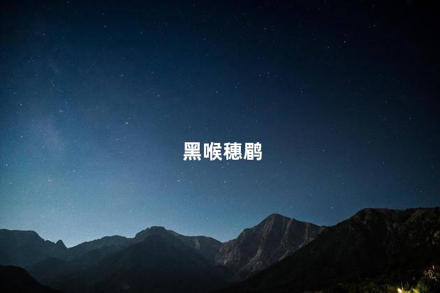 黑喉穗鹛