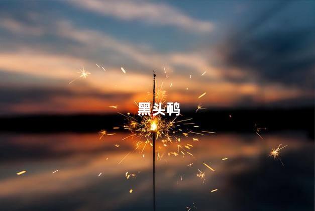 黑头䴓