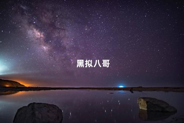 黑拟八哥