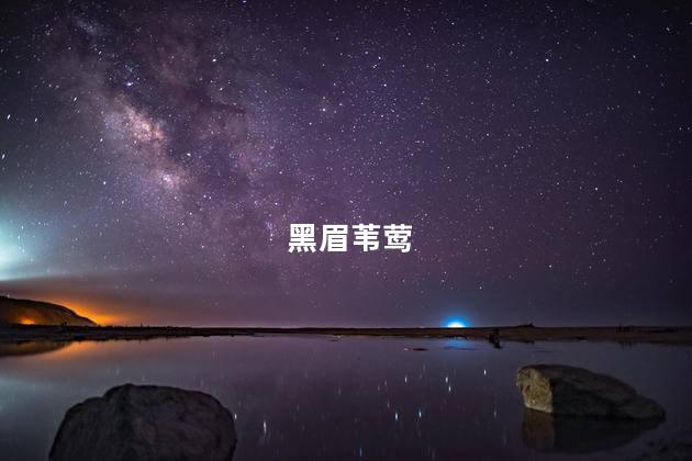 黑眉苇莺