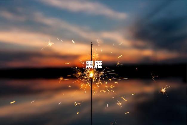 黑雁
