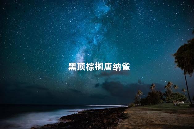 黑顶棕榈唐纳雀
