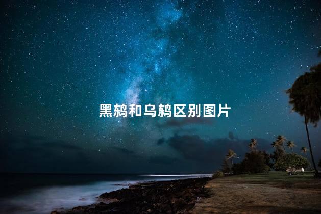 黑鸫和乌鸫区别图片